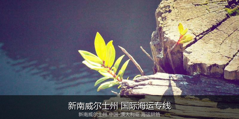 中澳海运跨境电商物流解决方案